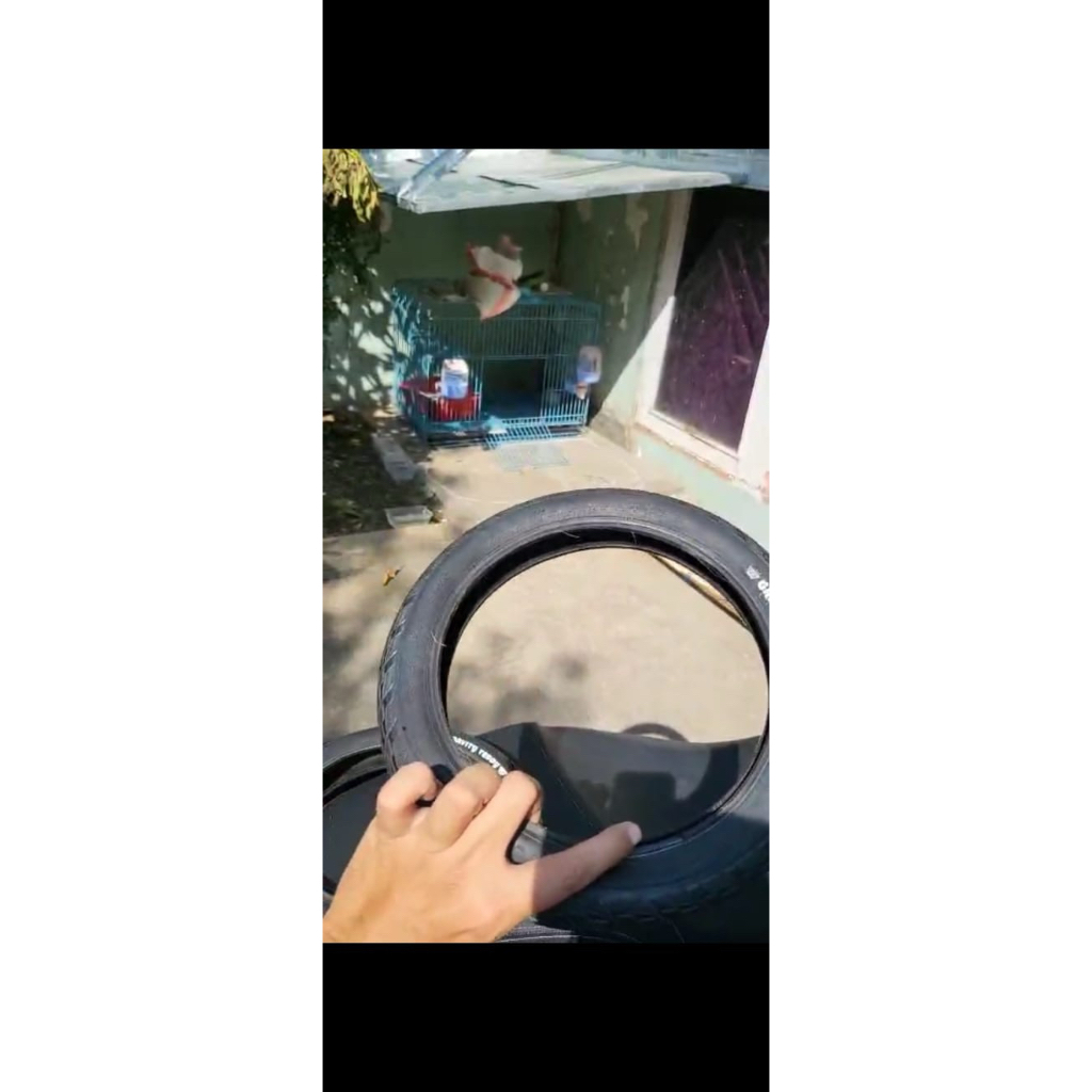 Ban pushbike Gravity Tedy Bekas