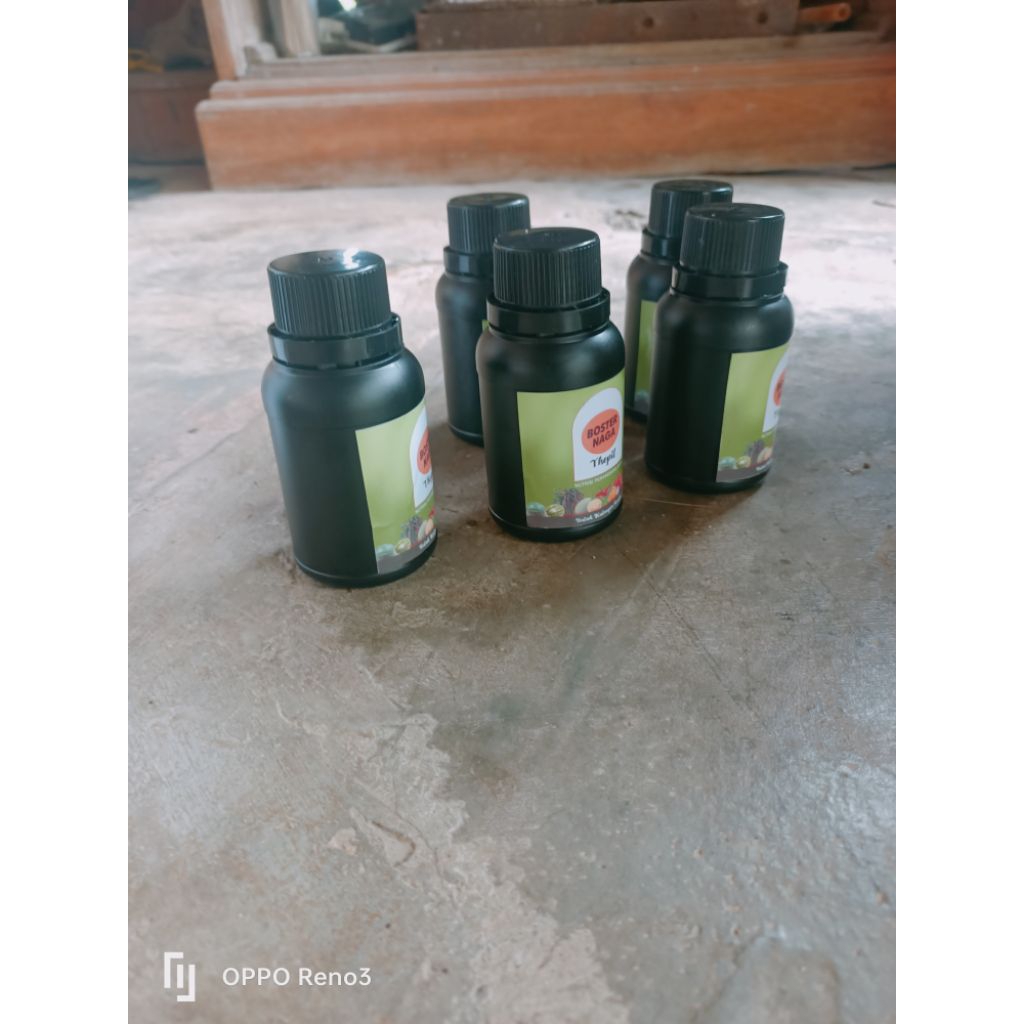 Booster Buah Perangsang bunga dan buah mencegah kerontokan bunga dan buah