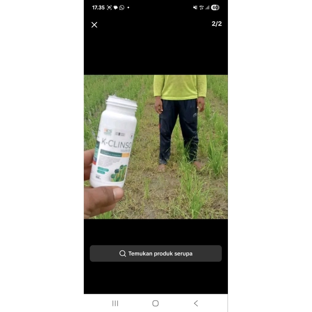 HERBISIDA SELEKTIF K-CLINSO