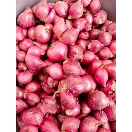 

Bawang merah Super kemasan 250gram
