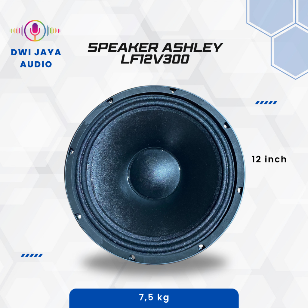Speaker Ashley LF12V300 | Spiker 12 inch