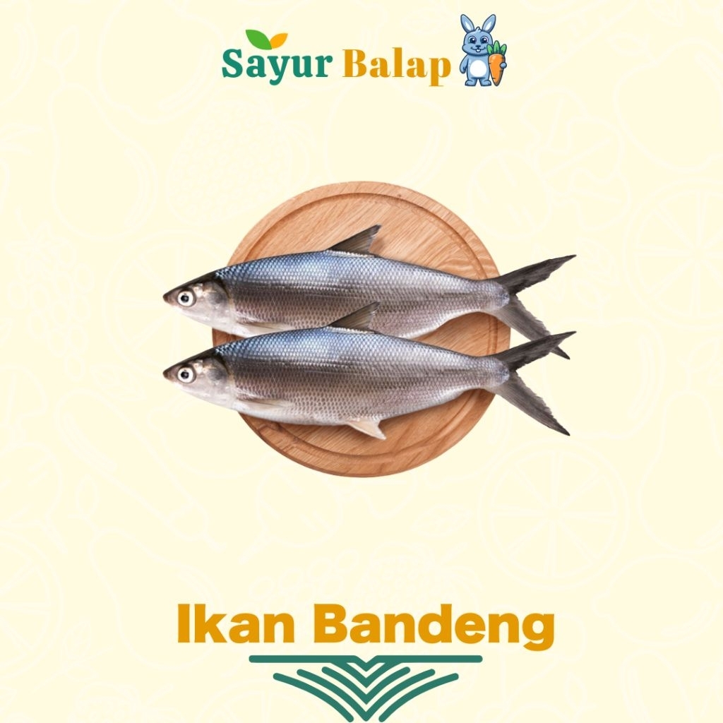 

Ikan Bandeng - 500 Gram - Sayur Balap Lampung