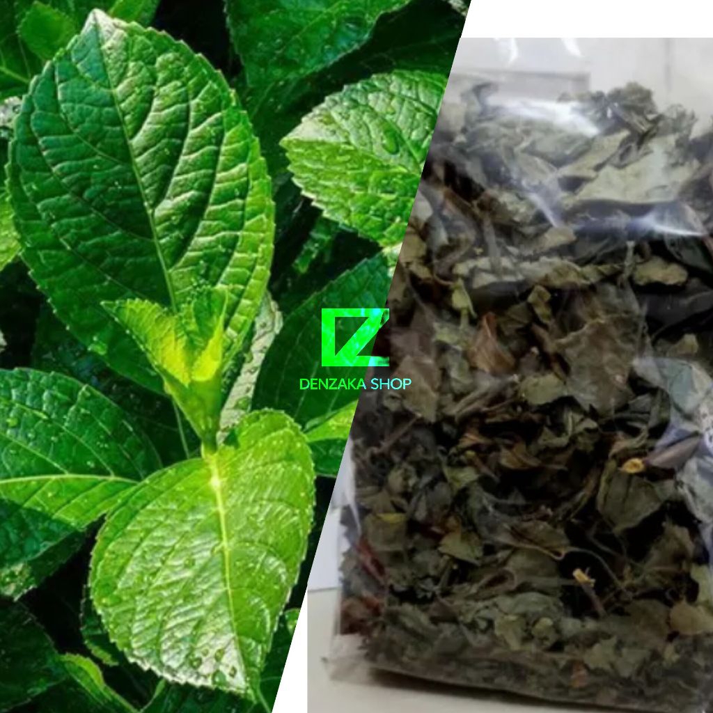 

Daun Keji Beling Segar dan Kering 100gr