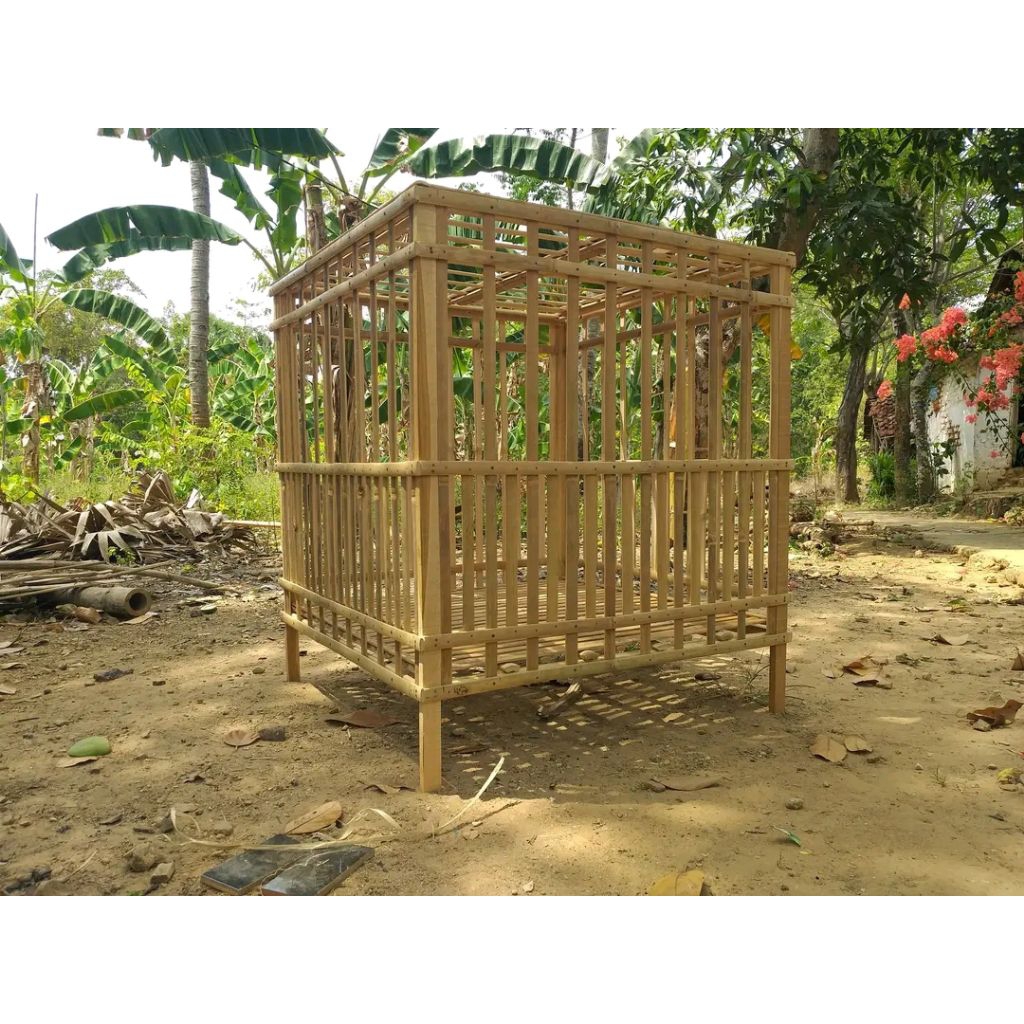 Kandang Ayam Dewasa Bangkok / Kampung Rakitan Ukuran 70 x 70 cm   Langsung pasang sendiri tingal mak