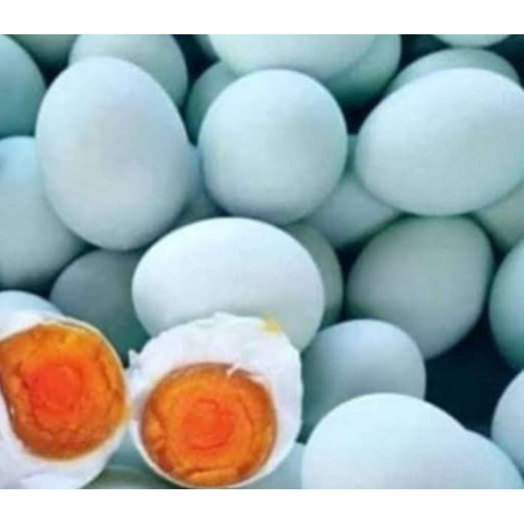 

Telor asin bebek original