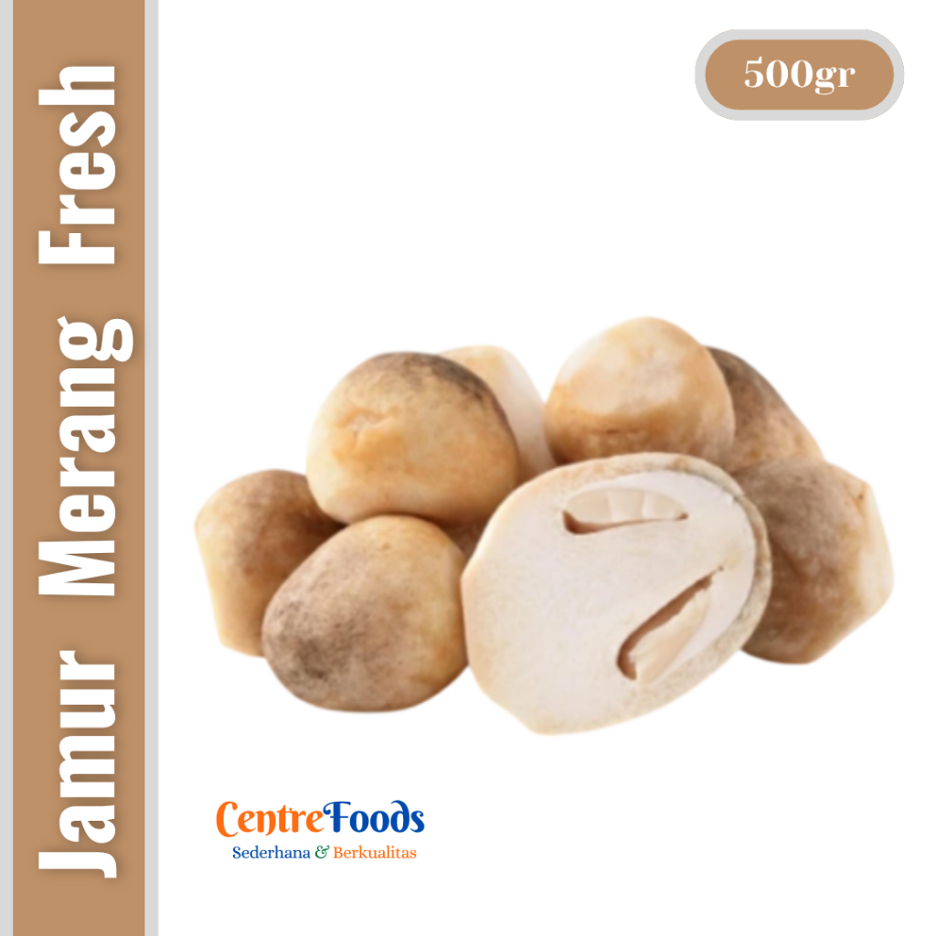 

Jamur Merang Segar - Jamur Padi Fresh | 500gr [ Harga Per 0,5 Kg ]