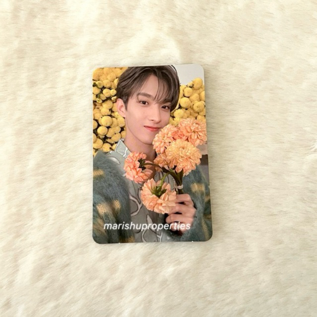 PHOTOCARD SEVENTEEN DK BUNGA YOUR CHOICE ONE SIDE VER