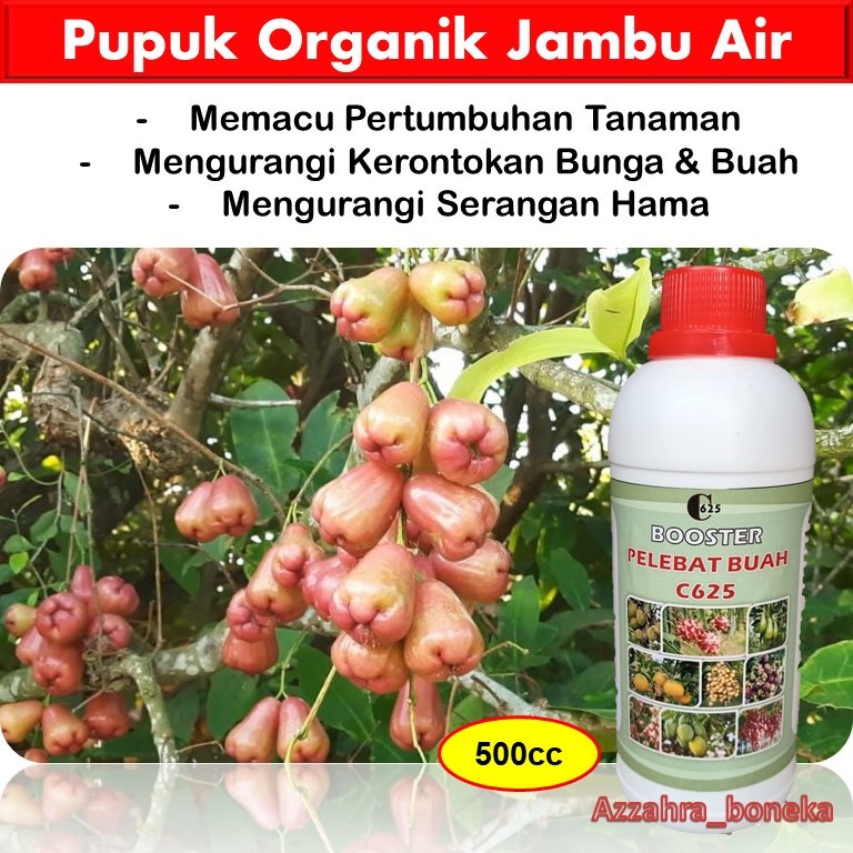 Pupuk Jambu Air Cepat Berbuah / Pupuk Jambu Air Organik / Pupuk Jambu Air Booster