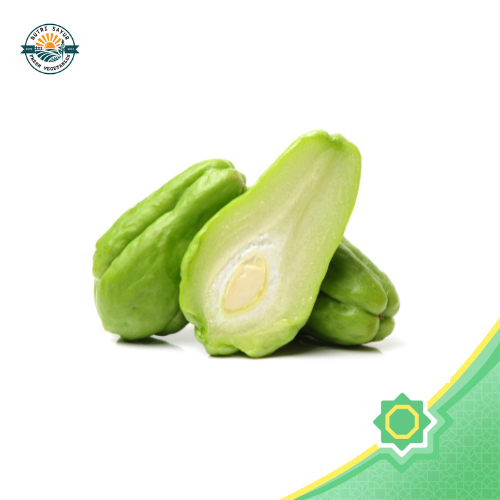 

Labu Siam Pilihan | NutriSayur | Favorit Sayur Asem & Lodeh!
