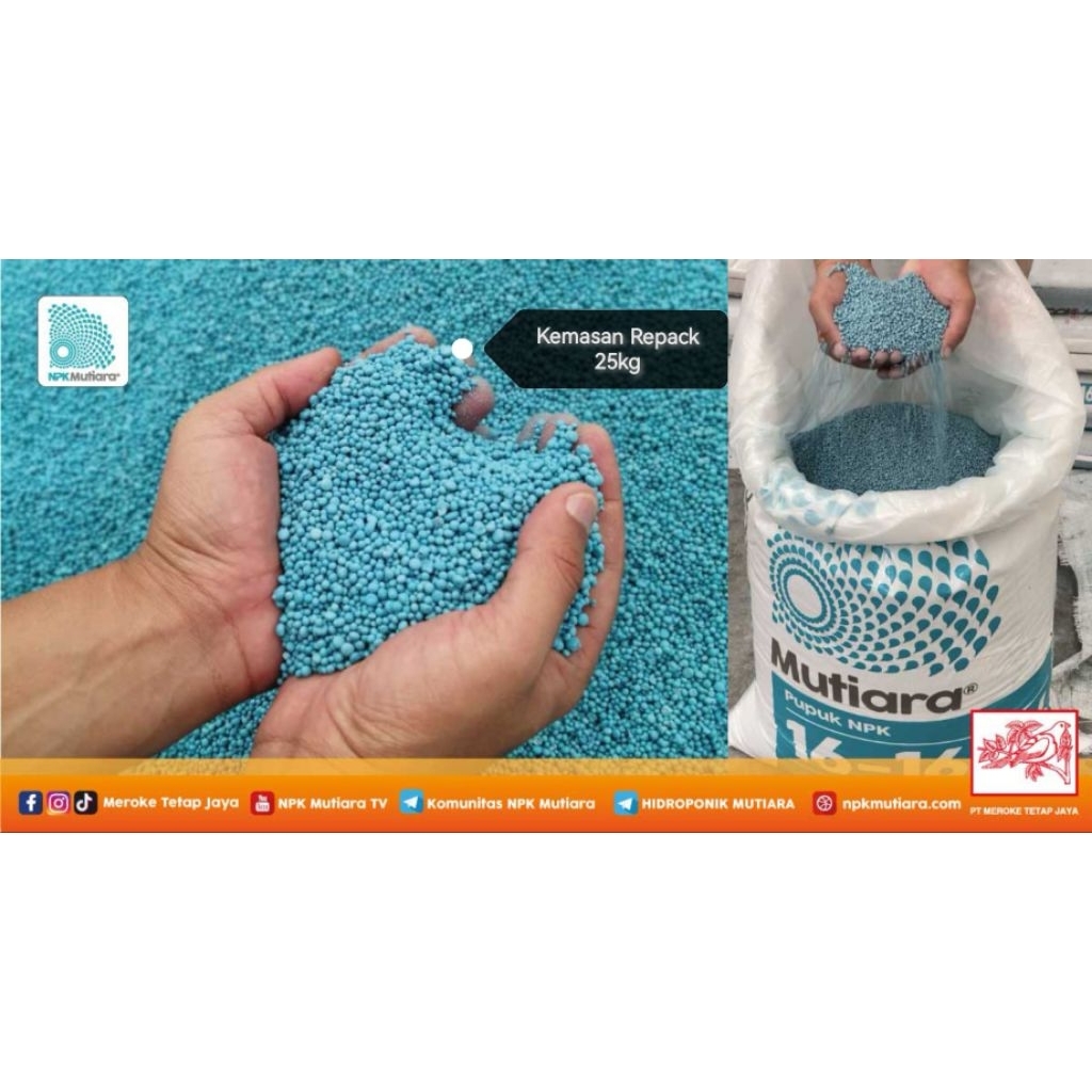 Pupuk NPK Mutiara 16 16 16 kemasan Repack 25kg kemasan karung polos