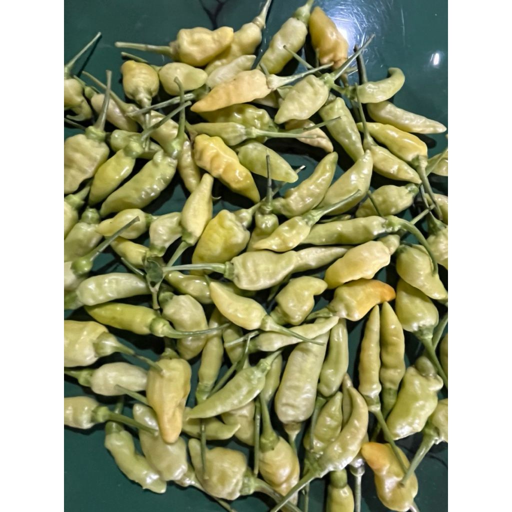 

cabe | sayur segar | Cabai rawit hijau dan putih 1 KG fresh termurahhh