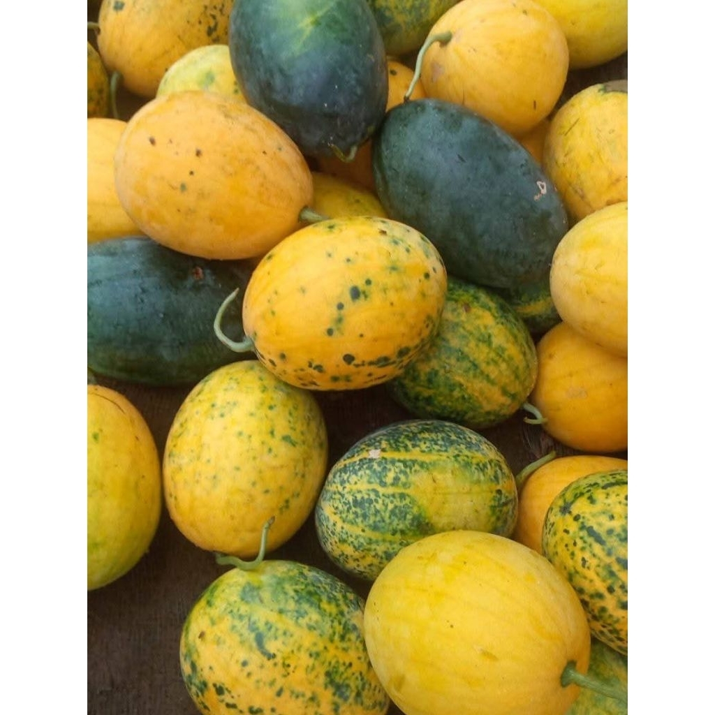 

Semangka kuning madu Manis Per biji segar