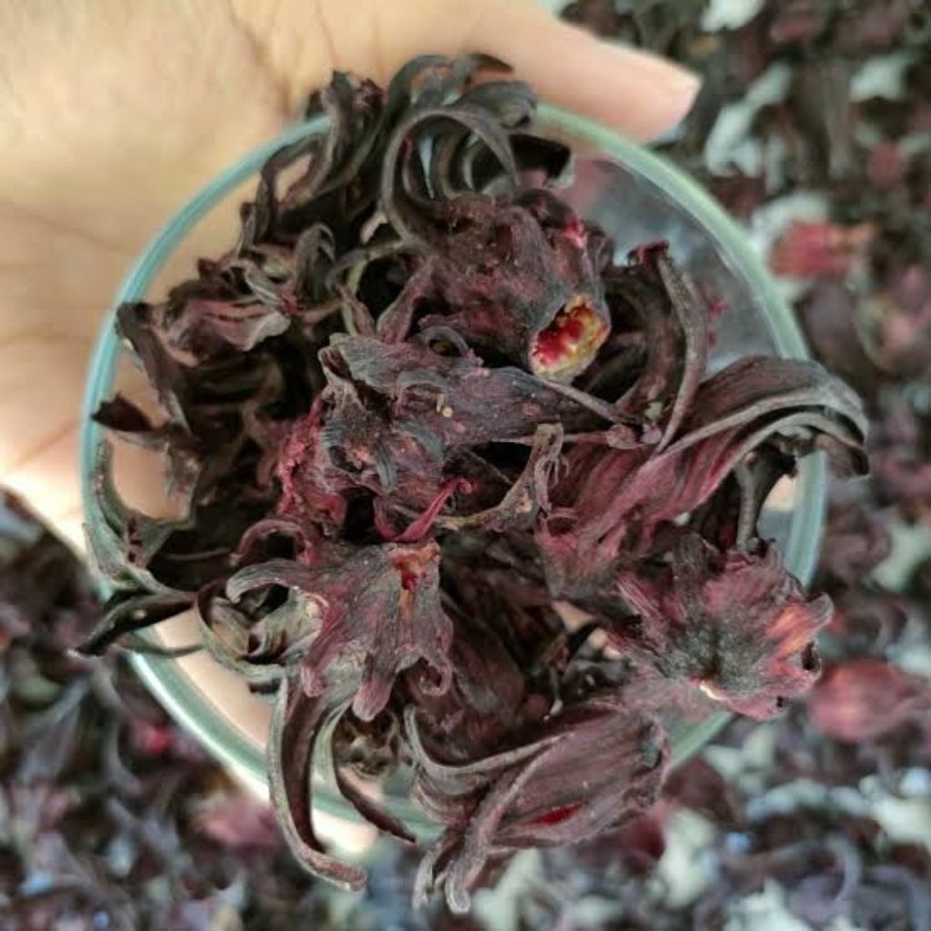 

Teh Bunga Rosella Ungu Kering Kemasan 1 Kg Kualitas Panenan Baru Tahun 2025