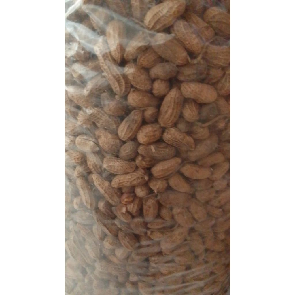 

kacang kulit /kacang goreng kulit klethik 500gr