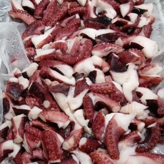 

Tako Leg Cut 1 kg | Tako cut gurita potong isian takoyaki 1kg
