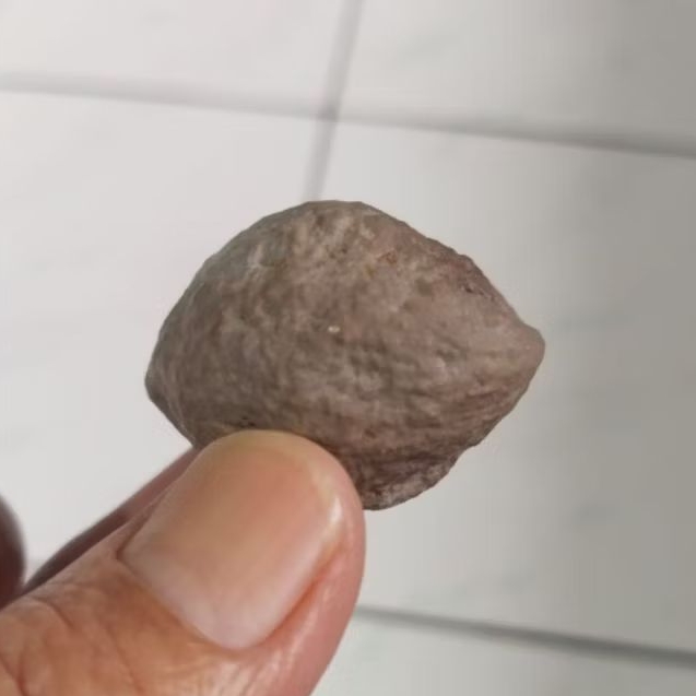 Kemiri Adu Muncang Adu Yanti Anak Denpom Pasangan Mewah