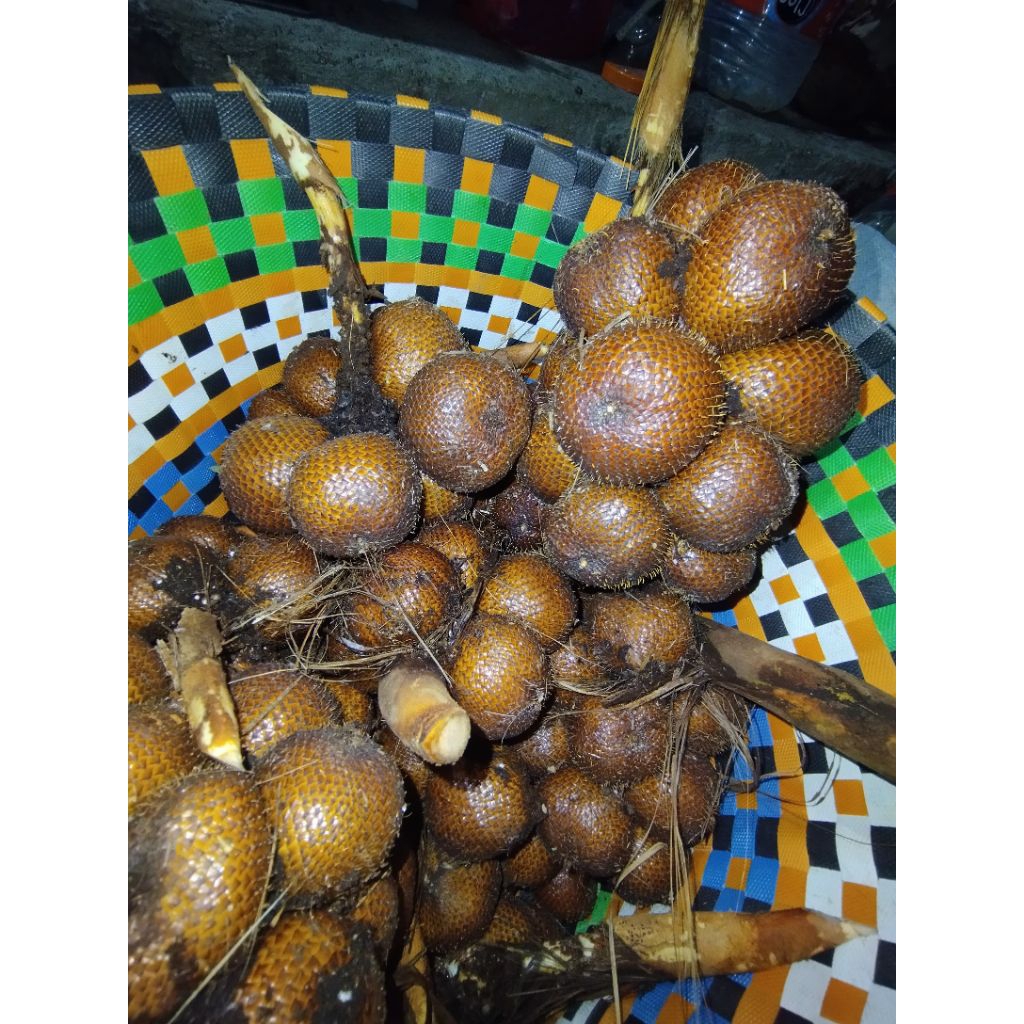 salak gula pasir asli bali