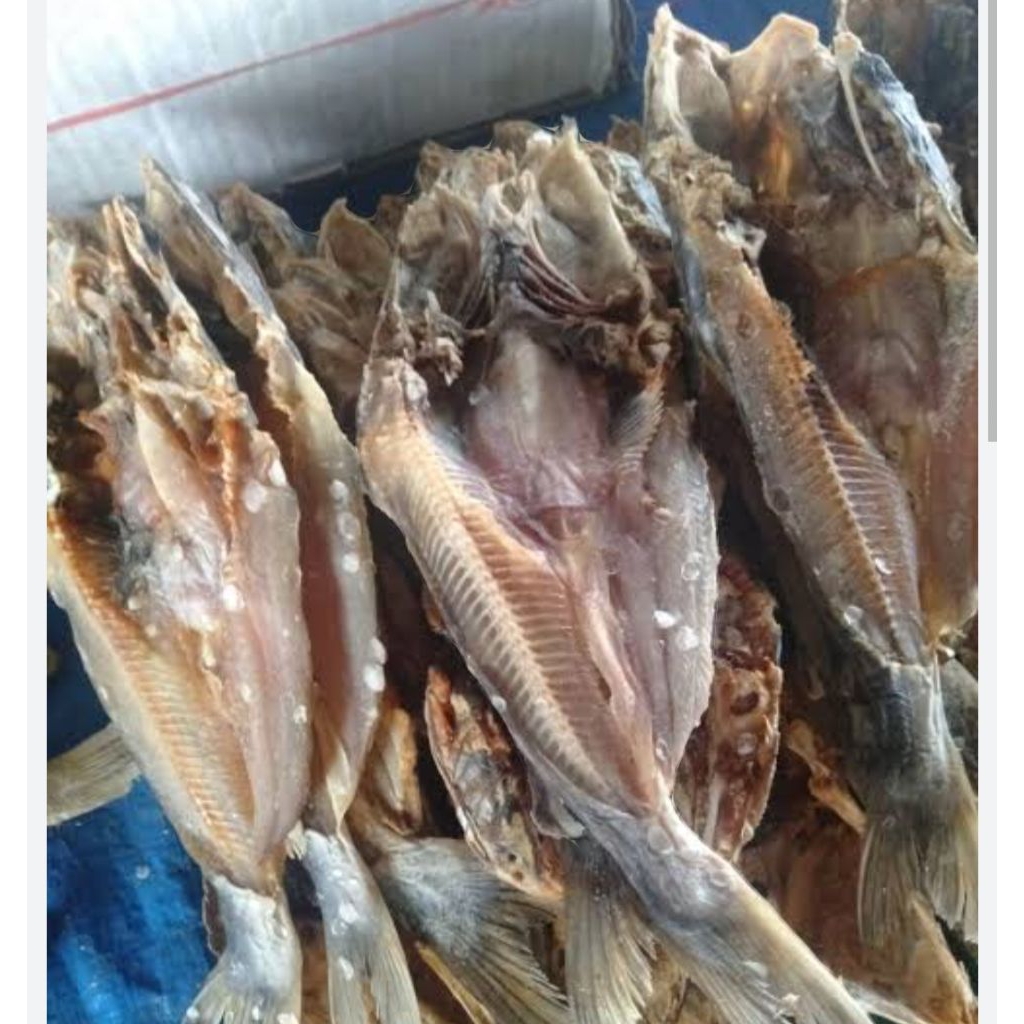 

ikan asin duri