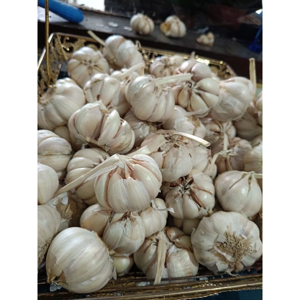 

bawang putih
