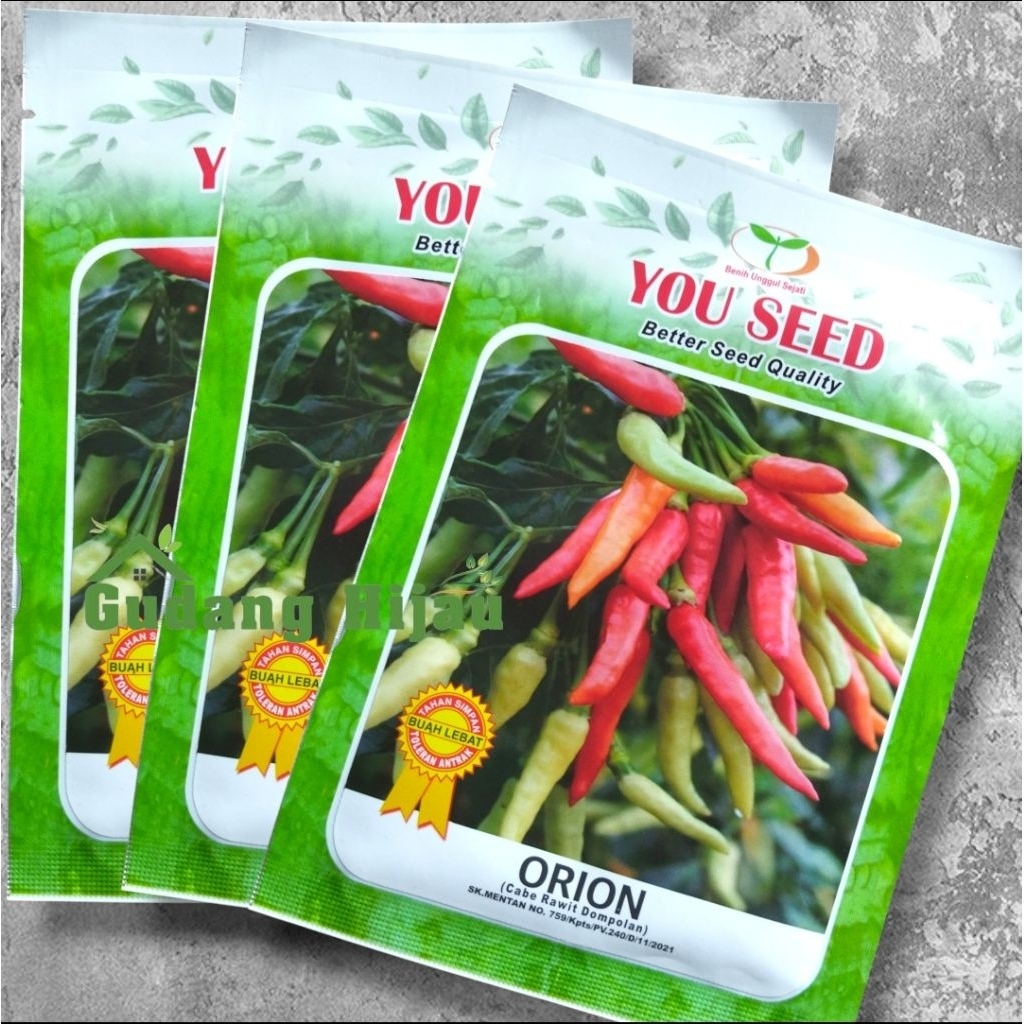 Benih cabe rawit ORION ( Cabai Dompolan ) 10 gram