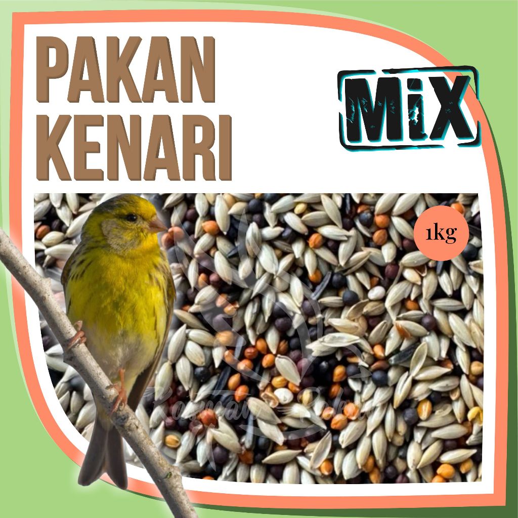 Pakan Kenari 1 Kg Campur Kiloan Premium Tinggi Biji Sawi Jewawut Kenari Niger Seed Milet Merah Putih