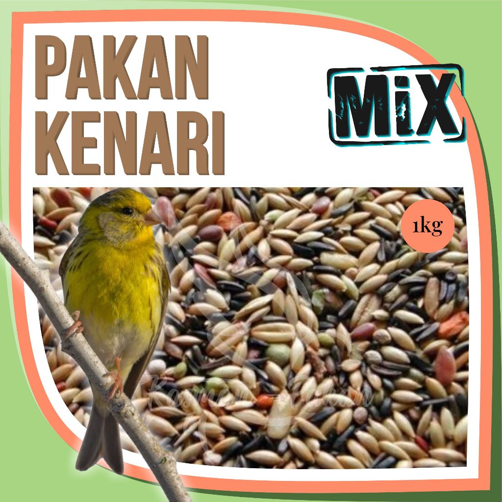 Pakan Kenari 1 Kg Campur Kiloan Premium Tinggi Biji Sawi Jewawut Kenari Seed Milet Putih Niger Seed