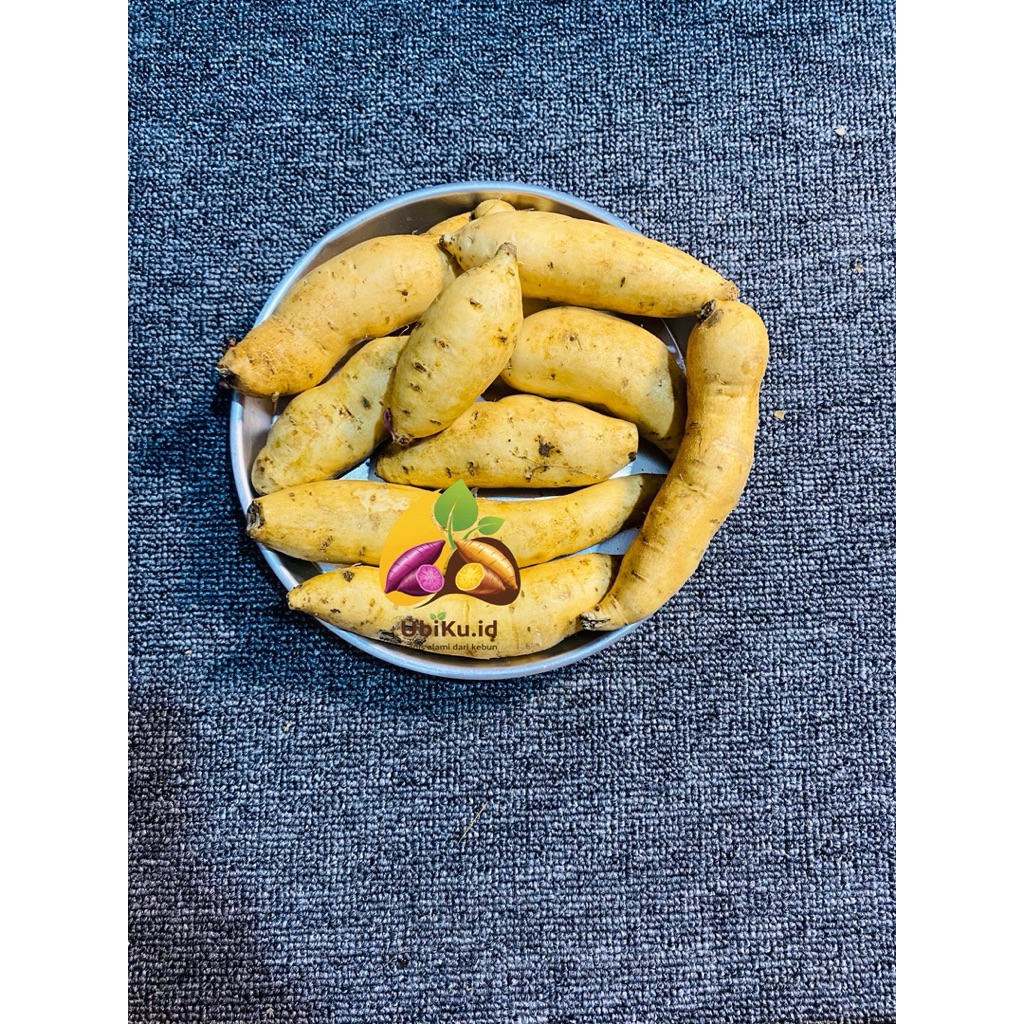 

UBI CILEMBU UKURAN BEBI - MANIS ASLI BERKUALITAS