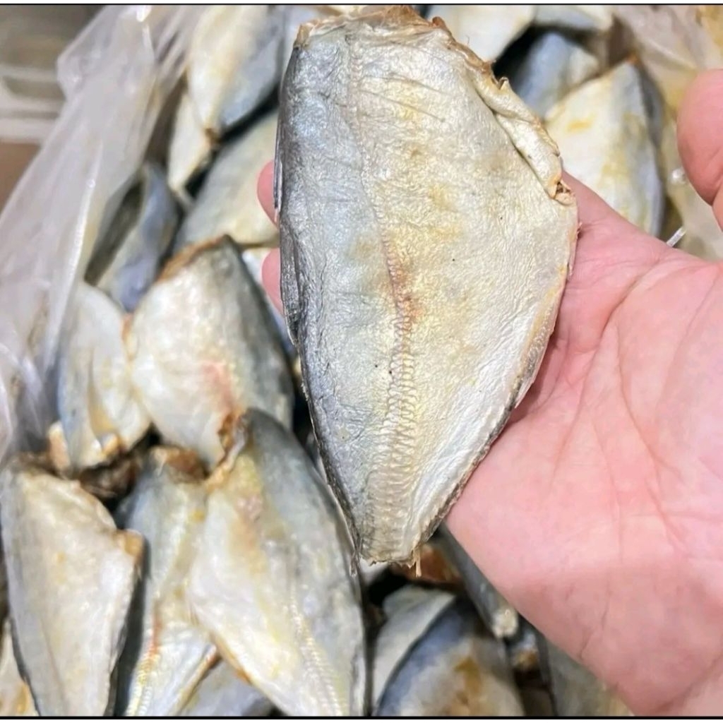 

Termurah Peda Buntung Sedang / Ikan Asin Peda Tanpa Kepala Super Enak Terlaris