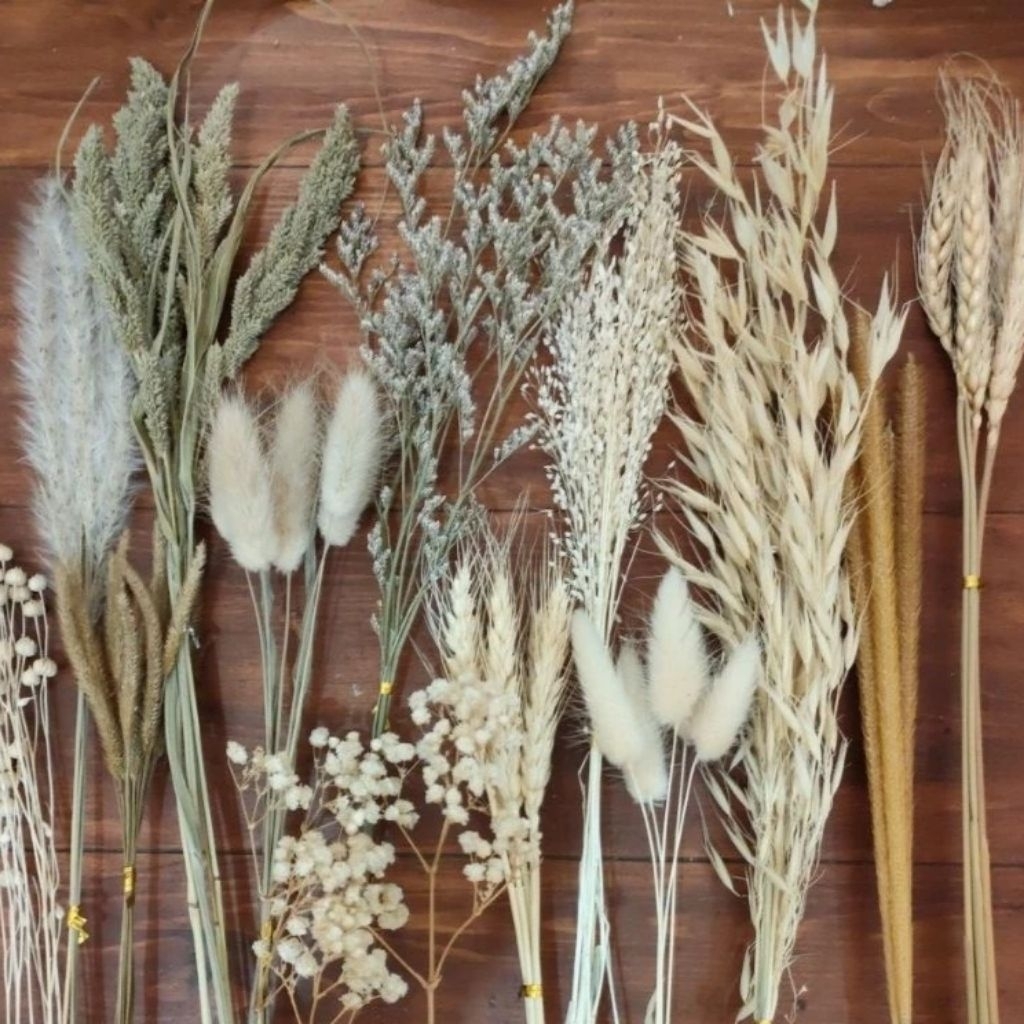ecer bunga kering bunga hiasan bahan buket bunga hias bunga kering murah