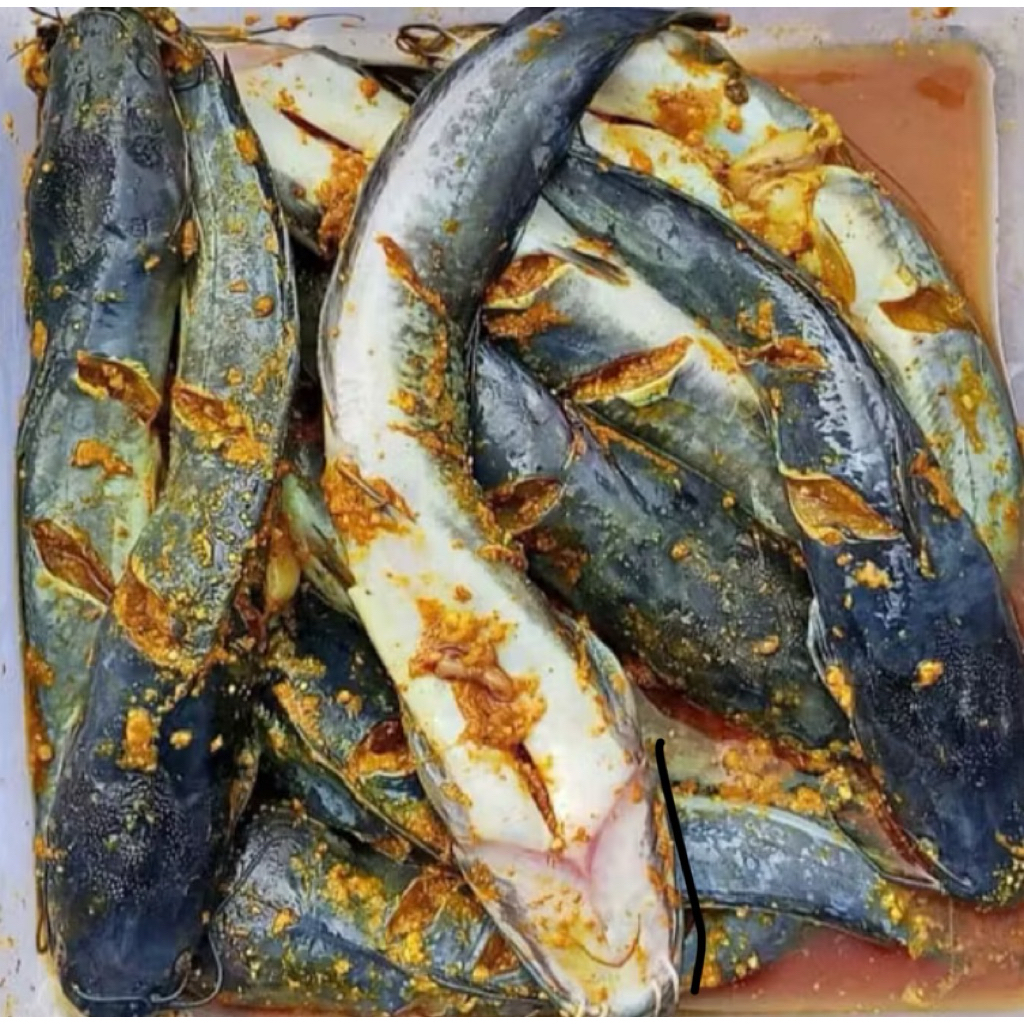 

ikan lele bumbu kuning siap goreng 1 kg