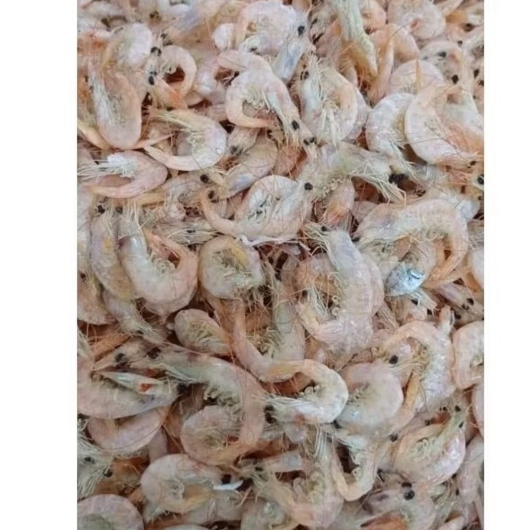 

udang asin kering utuh