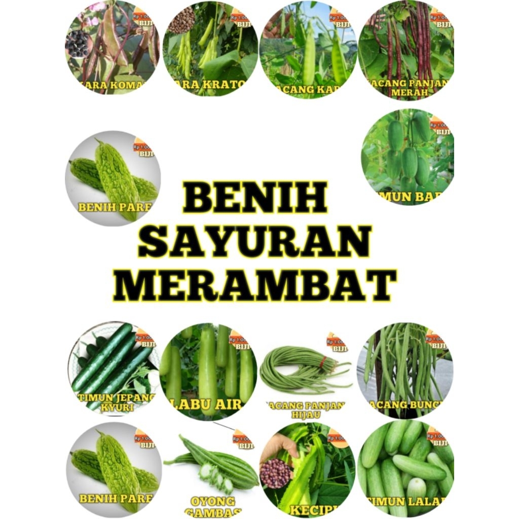 Biji Bibit Benih Seribuan Pare Belut Oyong Timun Lalap Jepang Mini Labu air Kecipir Kara Buncis Edam