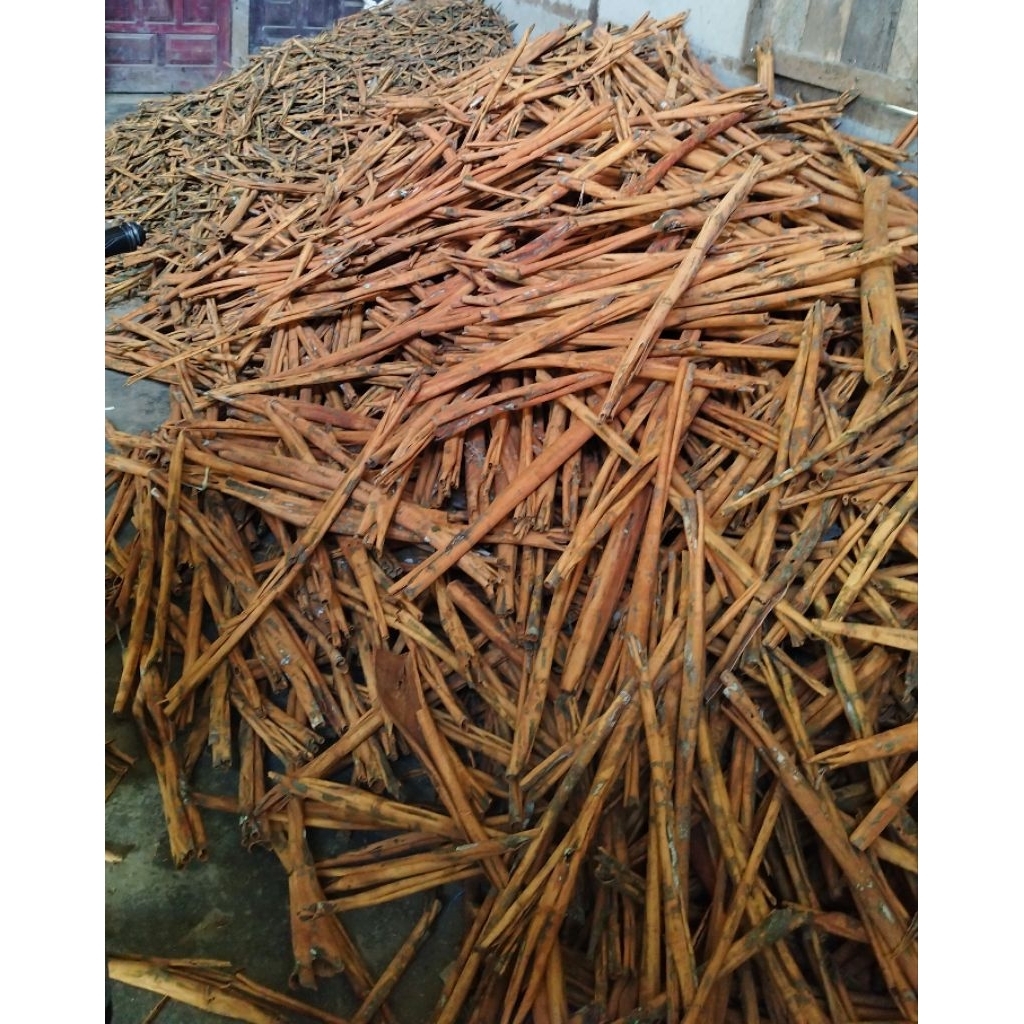 

KULIT MANIS KERINCI JAMBI