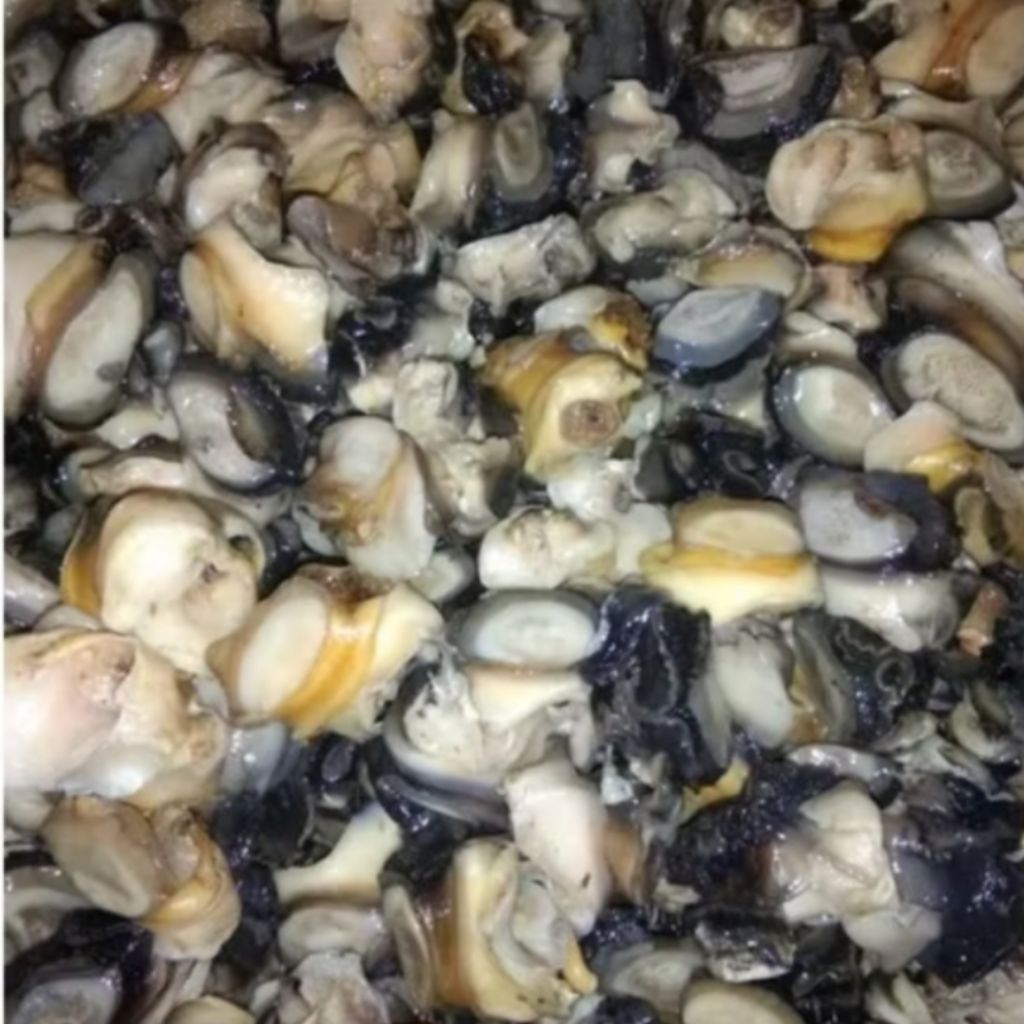 

Daging Keong Segar Frozen Food 500gram