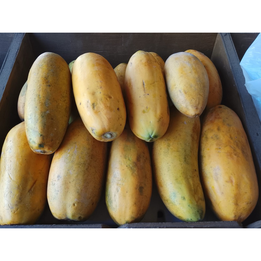 

Pepaya California 1Buah