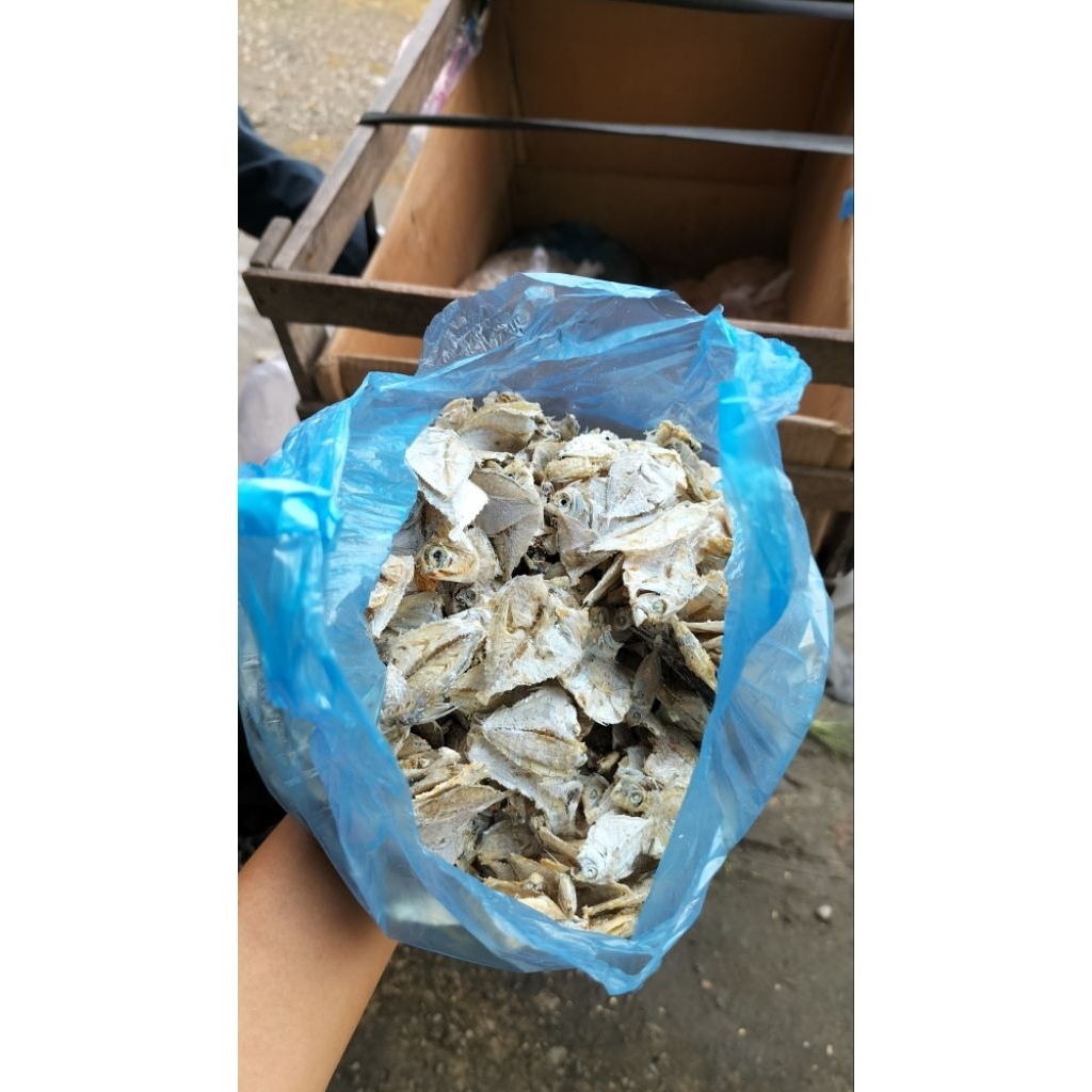 

Ikan Asin Sampah/ Ikan Campur