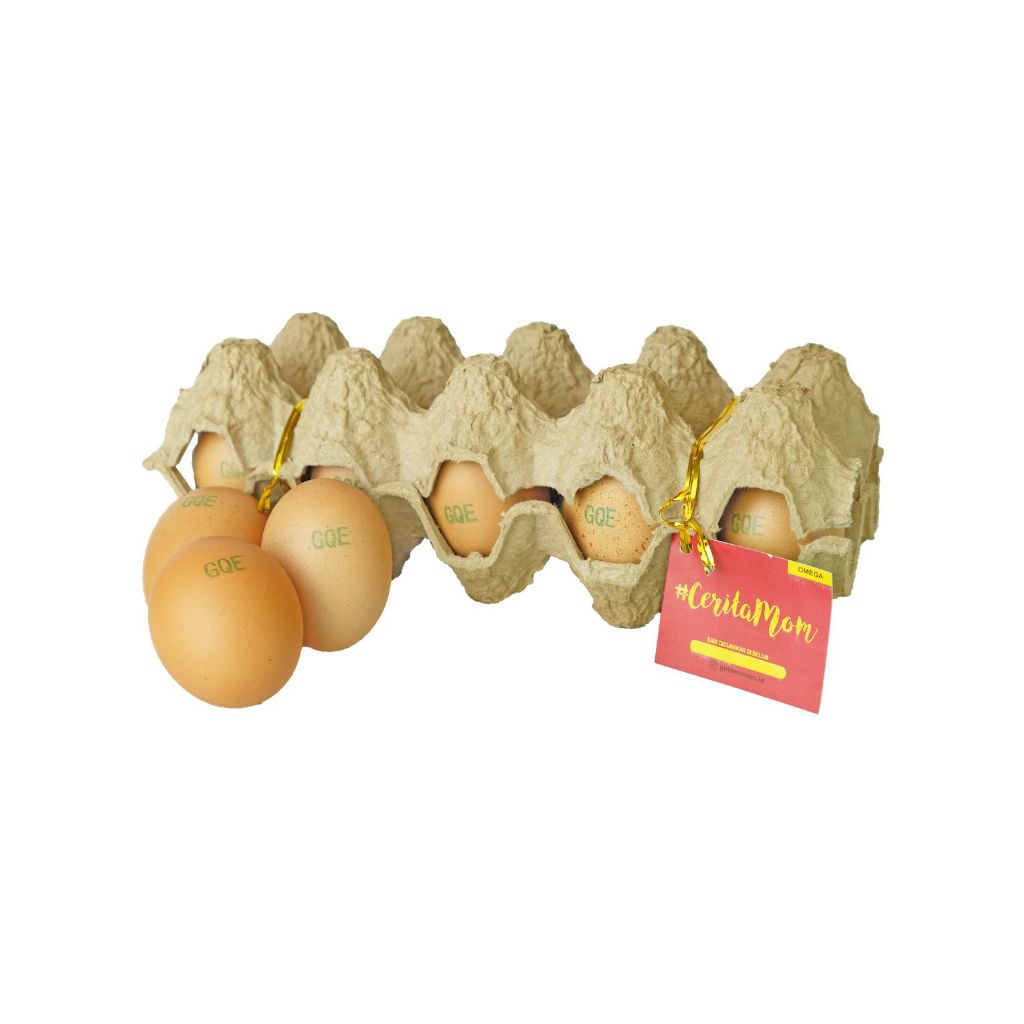 

GM OMEGA 3 (TRAY KECIL)
