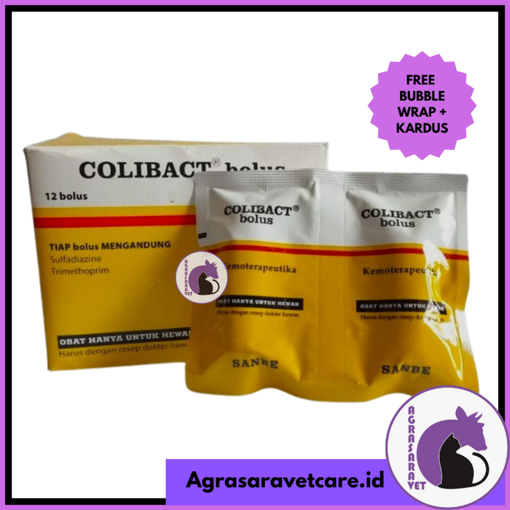 COLIBACT BOLUS isi 12 Bolus - 1 DUS
