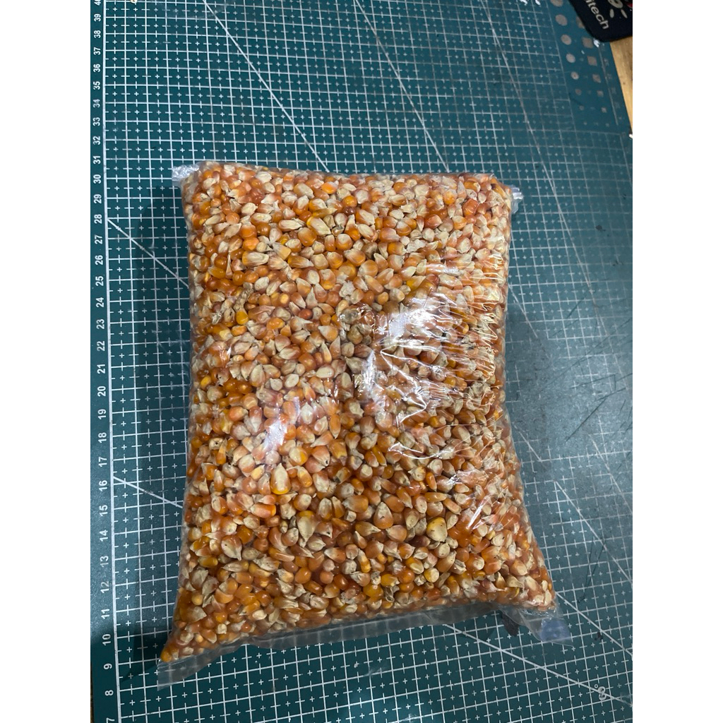 jagung lancip kristal merpati 1kg original