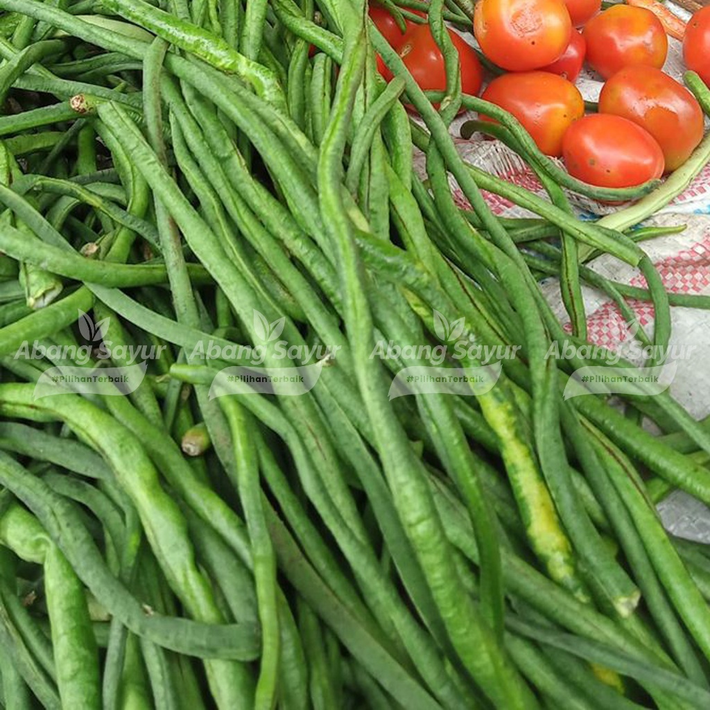 

Kacang panjang 250gr / 500gr – Sayur Segar Bandung (Fresh Harian) - Sayur segar, cocok ditumis atau dibuat urap