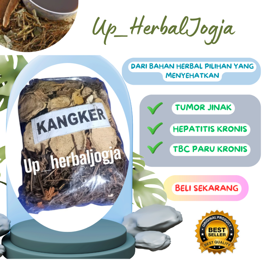 

UP_Herbal Jogja | Jamu Herbal Penunjang Imun & Detoks Tubuh | Ramuan Tradisional Pilihan menyembuhkan kanker