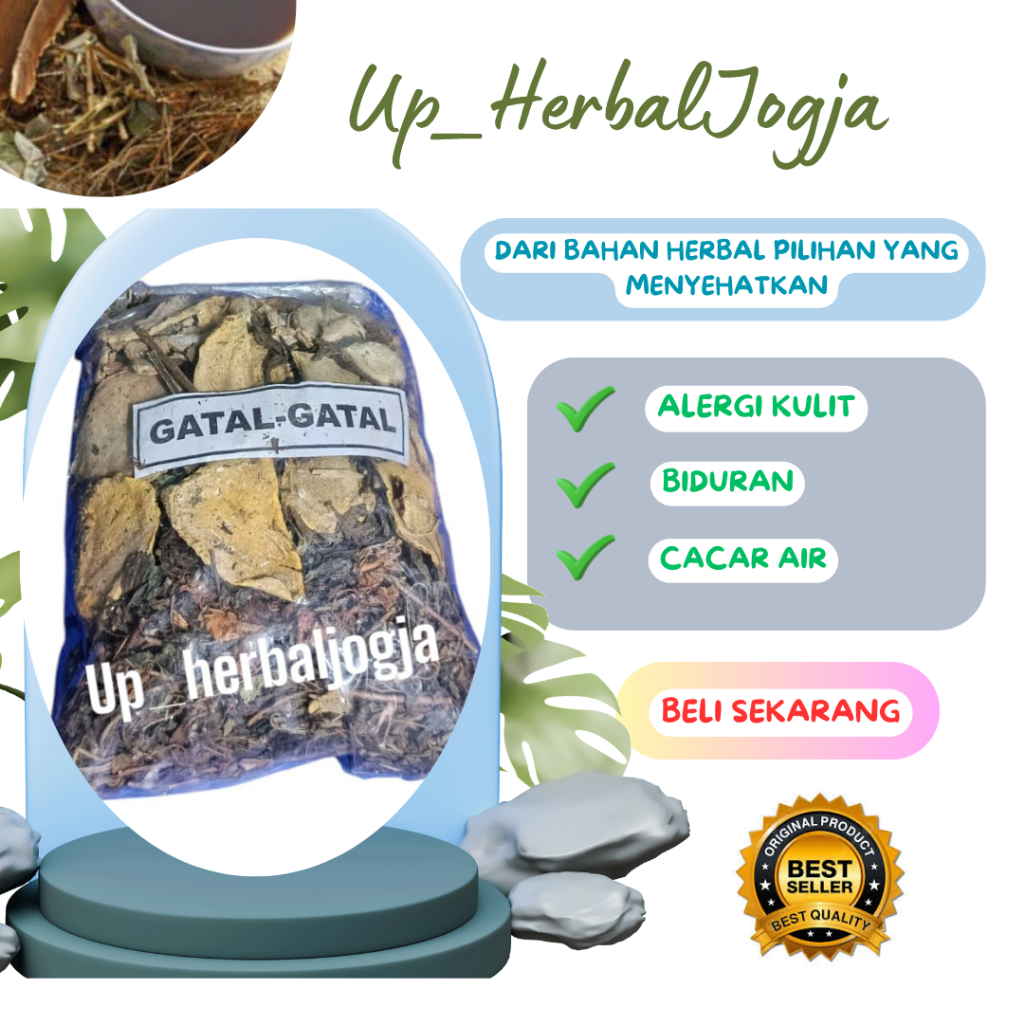 

UP_Herbal Jogja | Jamu Herbal Gatal Kulit | Redakan Alergi, Biduran, & Eksim Secara Alami