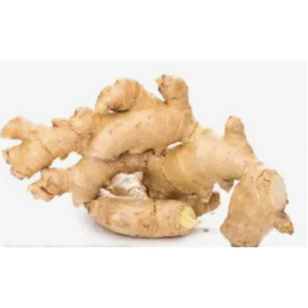 

jahe gajah fres 1kg