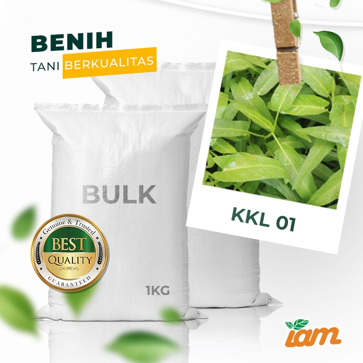 

BULK 1kg – kangkung daun lebar OP (KKL 01)