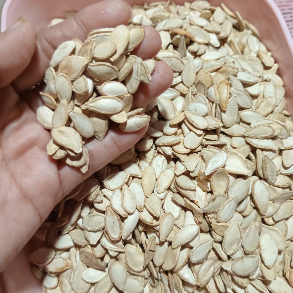 

biji waluh/labu mentah 250 gr