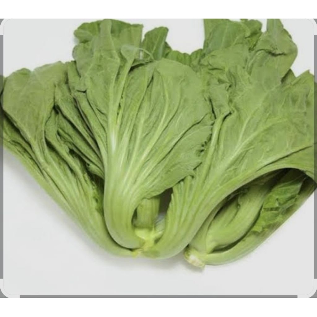 

sayur pahit / jabung fresh