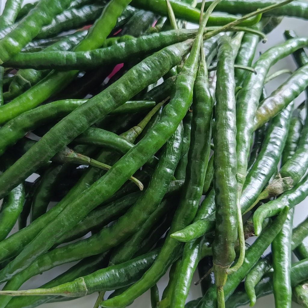 

Cabe Keriting Hijau / Cabe Ijo Keriting / Cabai Keriting Hijau / Cabe Hijau Keriting 1kg/500gr/250gr Murah