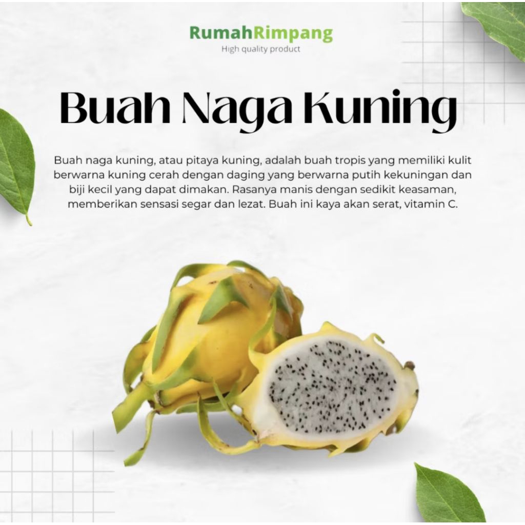 

Buah Naga Kuning limited