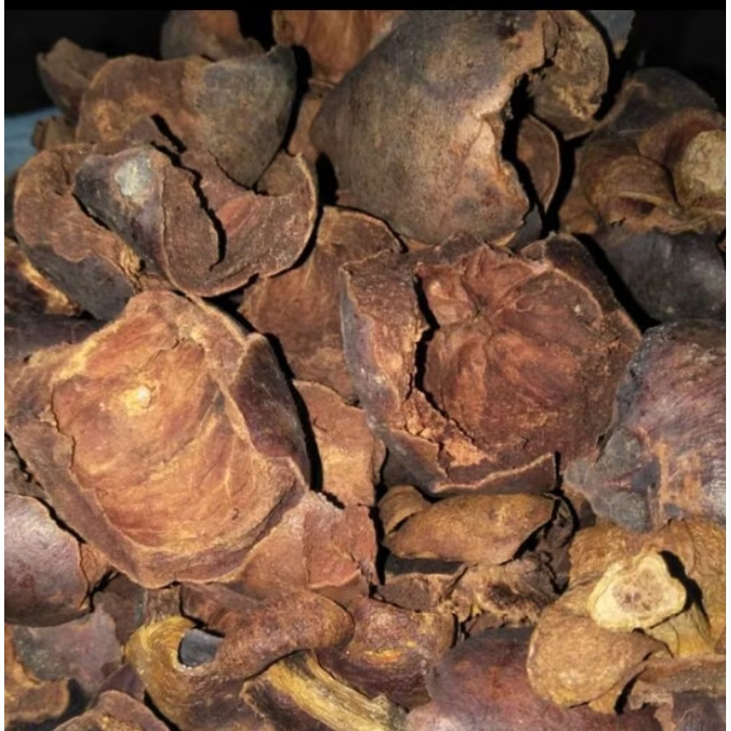 

kulit manggis kering obat herbal
