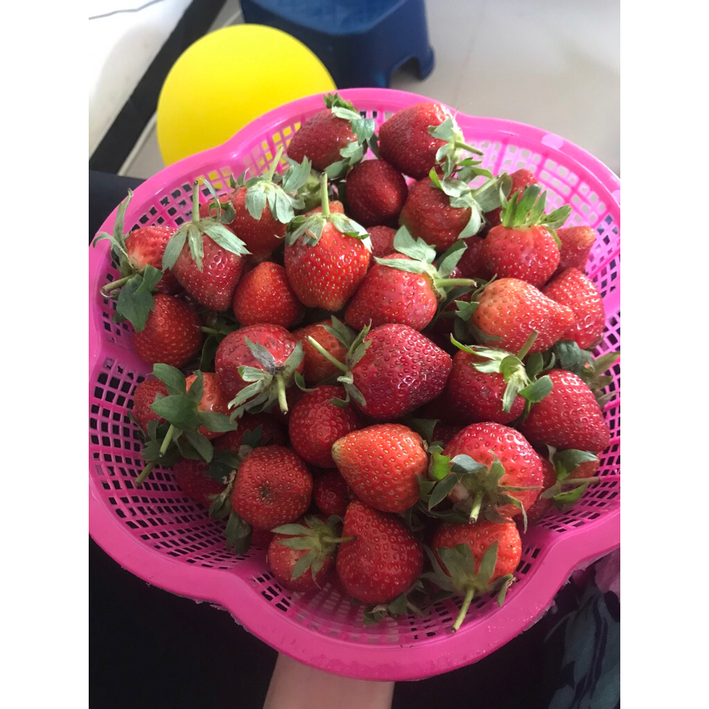 

strawberry batu malang grade AB instan malang